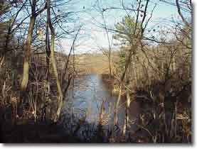 stream pic